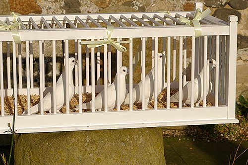 Gallery Photo 7