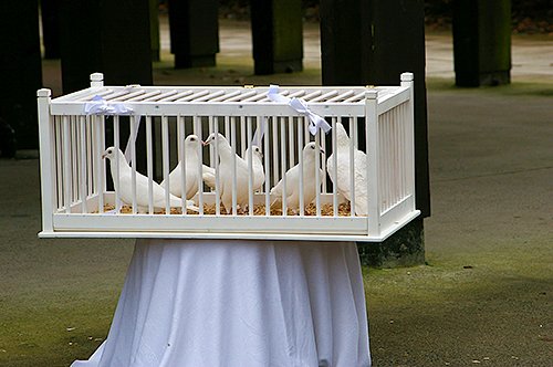 Gallery Photo 17