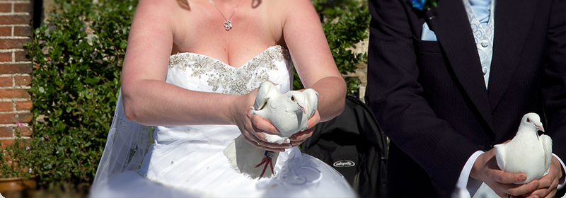 Dove Occasions cater Weddings